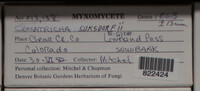 Image Associated With the Occurence